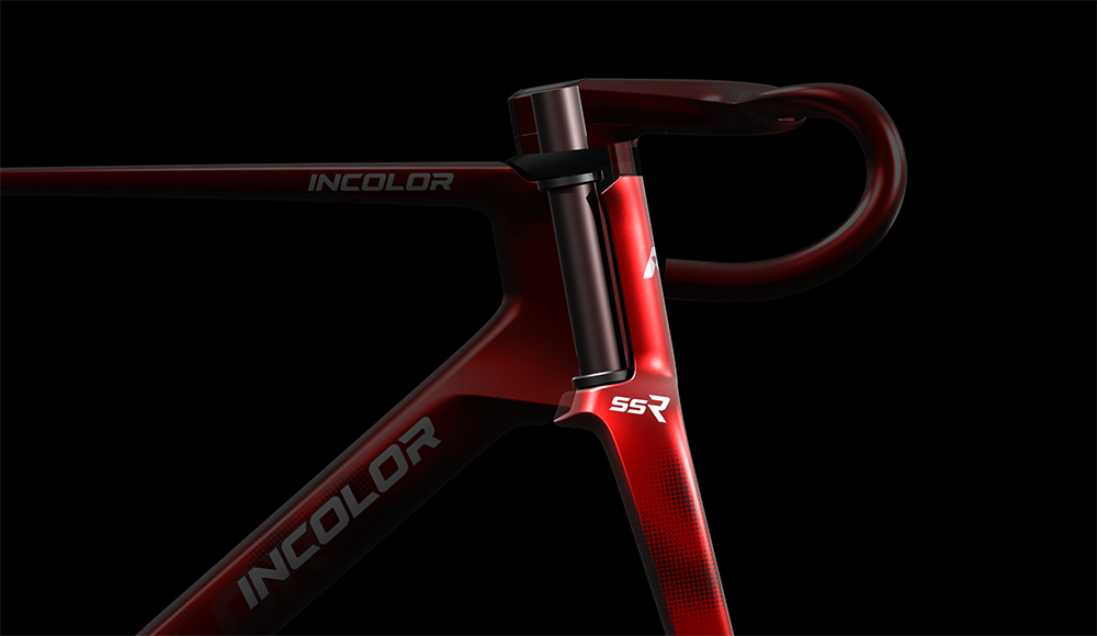 Dual Steerer Tube Design